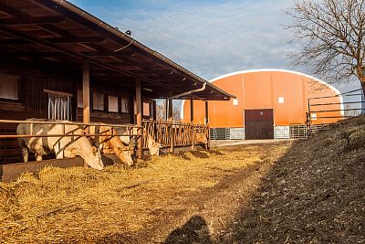 Stable of ZD Skály, Skály u Rýmařova